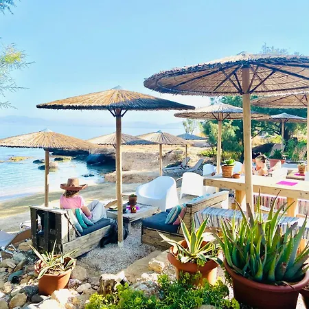 The Beachhouse